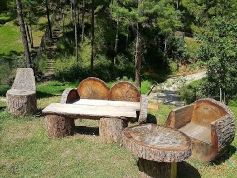 Motithang Takin Preserve_4